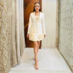Rose Blazer Dress